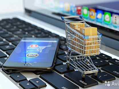 Неконкурентные закупки у МСП по 223-ФЗ можно будет проводить в электронных магазинах